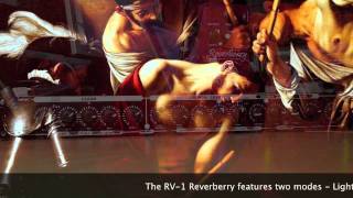 Video thumbnail for AMT Electronics: SS-10 Preamp & Reverberry Digital Reverb (Charvel to computer) by Brett Kingman
