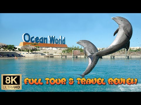 Full Tour of Ocean World Adventure Park in the Dominican Republic!  Wonderful Cruise Excursion