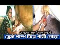 Village Wife Milking Cow With Breast Pump Hand Operated Milking Machine