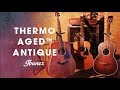 Ibanez Thermo Aged™ Antique Acoustic Guitar - AVD11, AVC11, AVN11