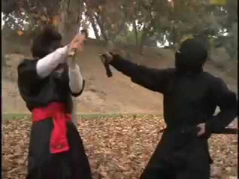 Pirate Vs. Ninja Vs. Samurai Steven