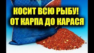 Прикормка на рыбалки рыбалку своими руками