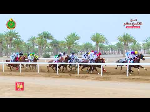 الشوط السادس - السباق الثامن عشر- الرحبة 23/03/2019 Race 6-18th meeting