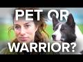 Flute WONDER DOG Hardcore Sheepdog Working It Episode 4