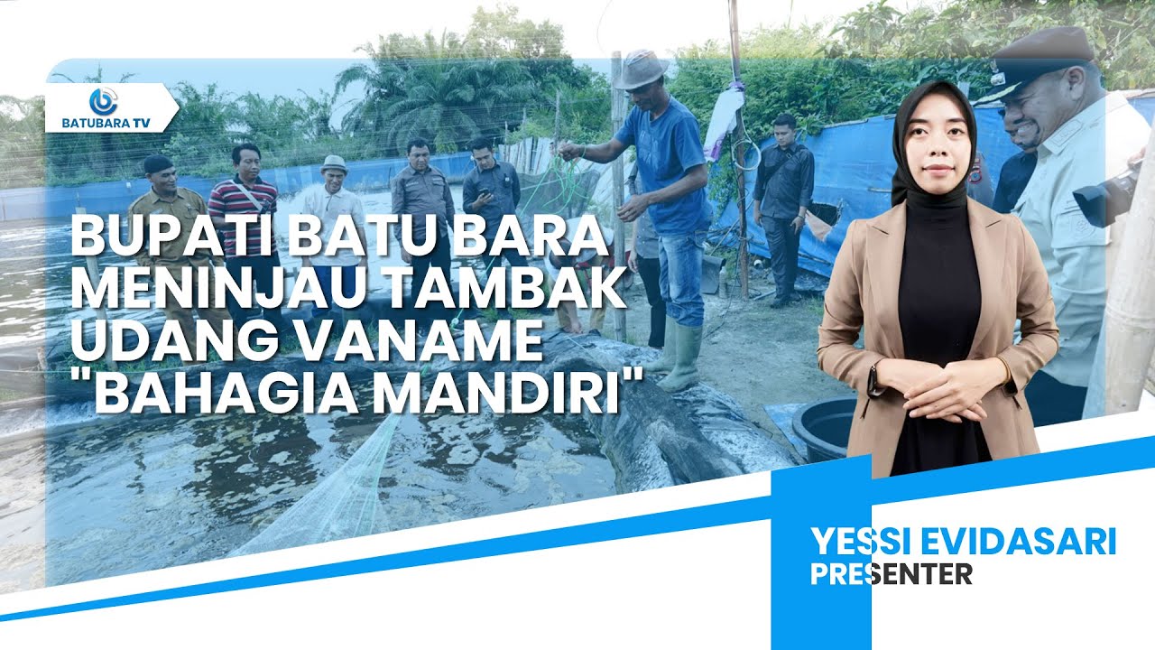 BUPATI BATU BARA MENINJAU TAMBAK UDANG VANAME "BAHAGIA MANDIRI"