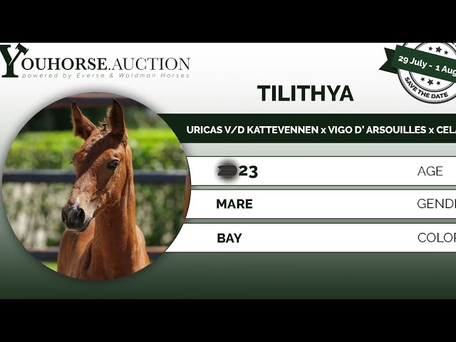 Tilithya