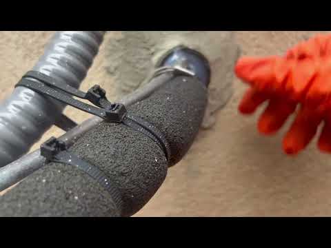 Preventing a Potential Mice Infestation in Mantoloking, NJ