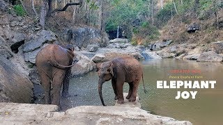 Elephant joy in Chiang Mai, Thailand