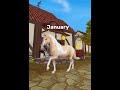 Your Birth Month Your Star Stable Horse ️ Sso Ssoedit Starstable Starstableonline Ssoedits Horse