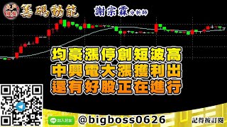【大戶羅盤籌碼動能】 #謝宗霖1028，均豪漲停創短波高 中興電大漲獲利出 還有好股正在進行 (圖)