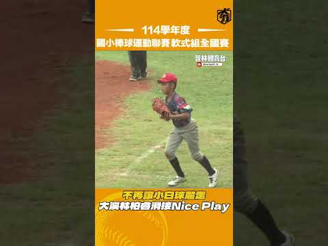 不再讓小白球溜走大溪林柏睿滑接Nice Play #114學年度國小棒球運動聯賽軟式組全國賽 #智林體育台