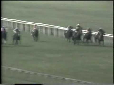 Horse Racing Habibti & Soba July Cup 1983
