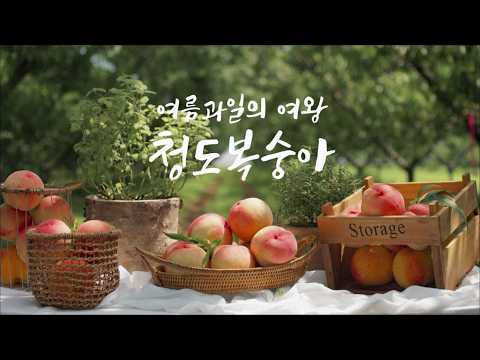 여왕은 태생부터 남다르다ㅣ청도복숭아