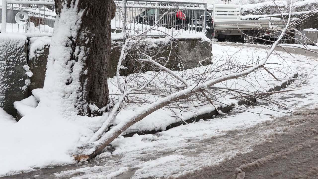 Заради снега четири села в област Хасково останаха без ток, а пет населени места са без вода