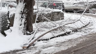 Заради снега четири села в област Хасково останаха без ток, а пет населени места са без вода