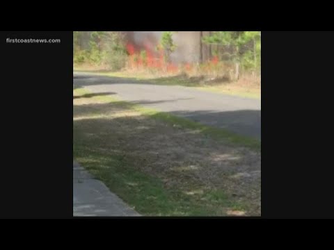 Brush fire burns near neighborhood at Pumpkin Hill Preserve