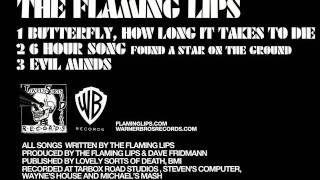 Hour 1 &quot;Found a Star on The Ground&quot; Sample: Flaming Lips 1st 15 min of &quot;6 Hour Song&quot;