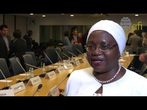 The 11th Annual G-24/AFI Policymakers' Roundtable on Financial Inclusion