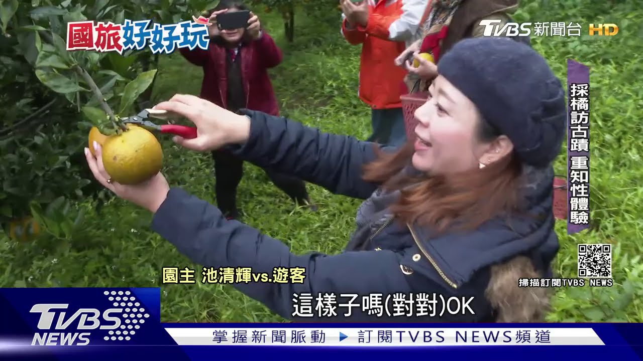 8百元怎玩！省錢文青之旅　深訪霧峰5景點