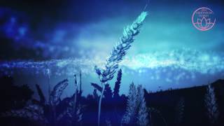 World Sleep Day - Sleep Soundly, Nurture Life. 8 hour relaxing deep sleep music, insomnia cure