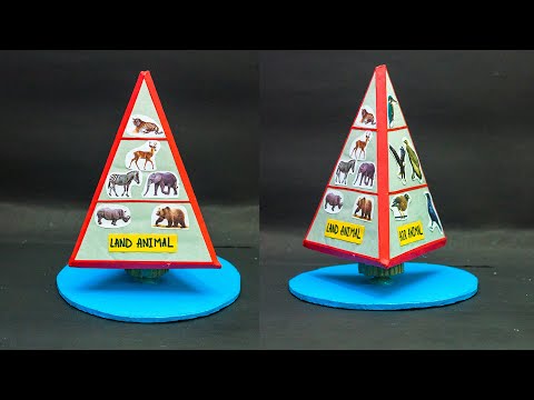 Science Project | Animal Pyramid Working Model