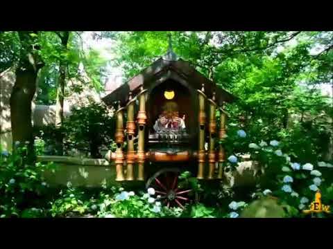 Land van Laaf #corona