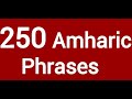 250 Amharic Phrases And Words  For Beginners/Amharic Language Lesson/Learn Amharic/አማርኛ-እንግሊዝኛ