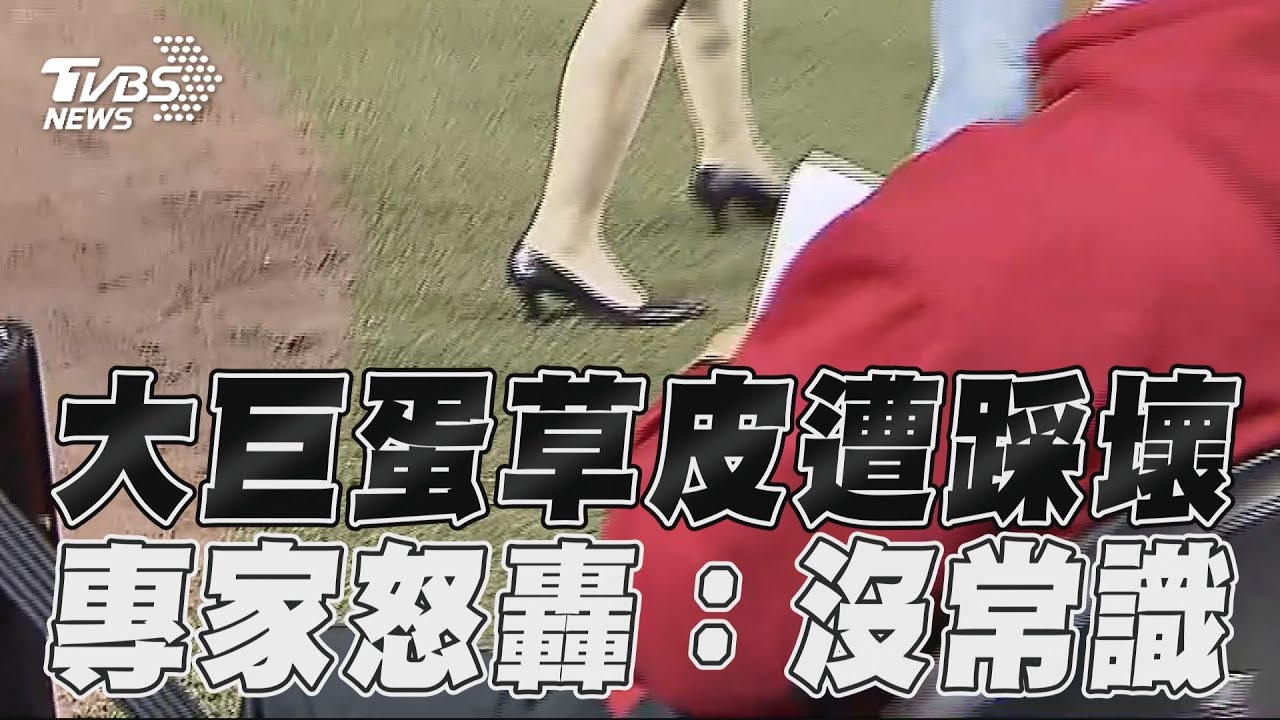 影音/大巨蛋草皮遭貴賓踩壞! 專家怒轟沒常識:國外絕不發生
