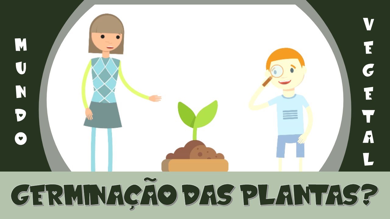 3. Mundo Vegetal - Germinação das Plantas / Como uma semente se torna uma planta?