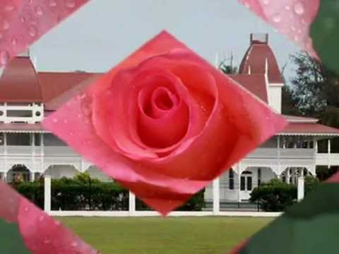 Heilala Tangitangi - Manako Fatai.