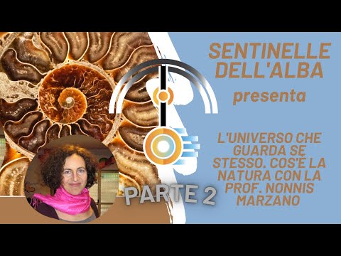 L'Universo che guarda se stesso | Parte II | Dentro e oltre la Natura con la prof. Nonnis Marzano