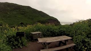 preview picture of video 'Backpacking Point Reyes - Bear Valley Trail, Arch Rock, Wildcat Campground'