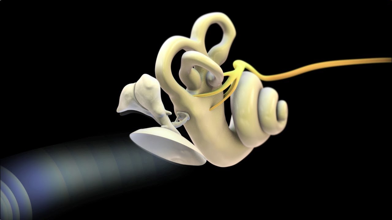 Azennet Rueda Rodríguez-15