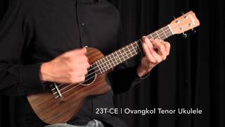 Video thumbnail for 23 Series Comparison by Cordoba Guitars