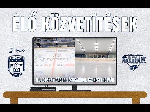 U12 PIROS | Lizards - Kárpáti Farkasok C