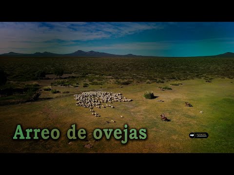 235 Puesto Trintrica Flia. Ortiz  (Mendoza) - Estancias y Tradiciones