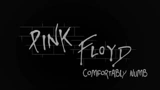Pink Floyd - Comfortably Numb (Extended Special Studio Version)