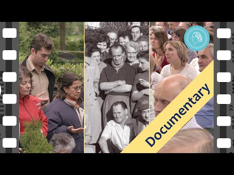 THE PHENOMENON OF HEALING - Announcing the YouTube-Premiere