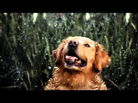 Essáy feat. Rhian Sheehan - Morning Mountain [Glyph Recordings]