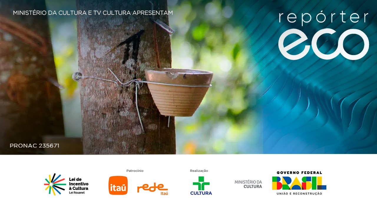 ECO REPORTER | 12/08/2024