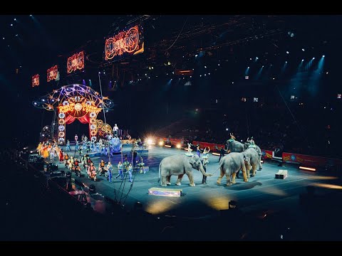 Animal-free circus? NC city council being asked to ban wild animals for entertainment