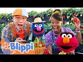 Blippi And Elmo Learn About Farm Animals And Excavators Blippi X Sesame Street Videos For Kids