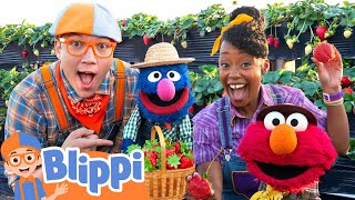 Blippi and Elmo Learn about Farm Animals and Excavators | Blippi x Sesame Street | Videos for Kids