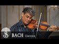 Bach | Chaconne für Violine Solo und 4 Stimmen BWV 1004 Morimur