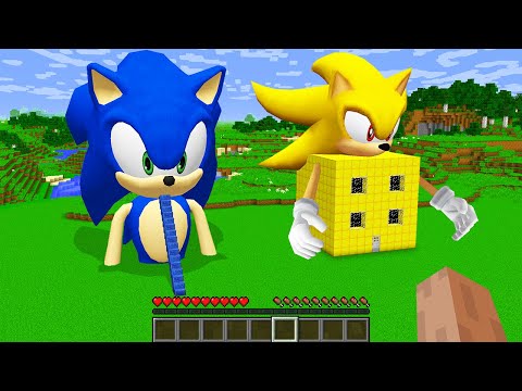 Ultimate Battle: Sonic vs. Super Sonic in EPIC Minecraft Animation!