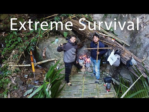 Lao Jungle Secret and Travels on Toast