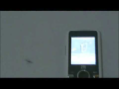 FORMIGA ATENDENDO CELULAR