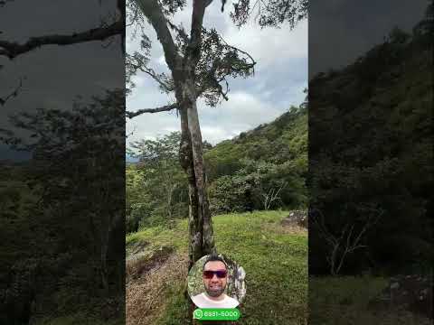 Alquiler de apartamento amoblado en Hacienda Los Molinos, Boquete. 6981.5000