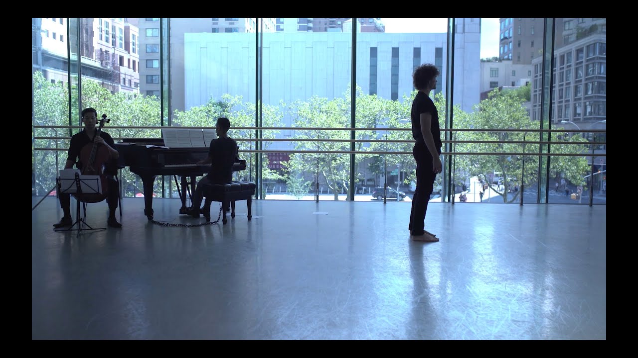 Promotional video thumbnail 1 for Aristo Strings NYC