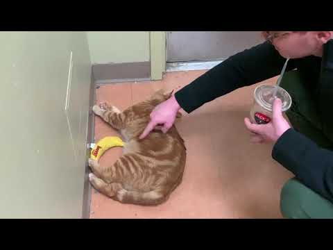 Glenny is a sweet boy